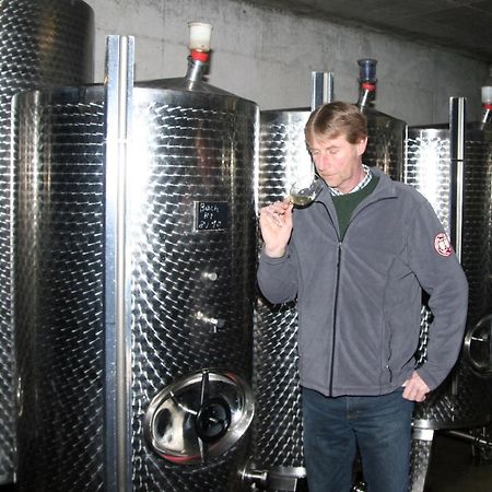 فندق Ferienweingut Hensler بريديل المظهر الخارجي الصورة