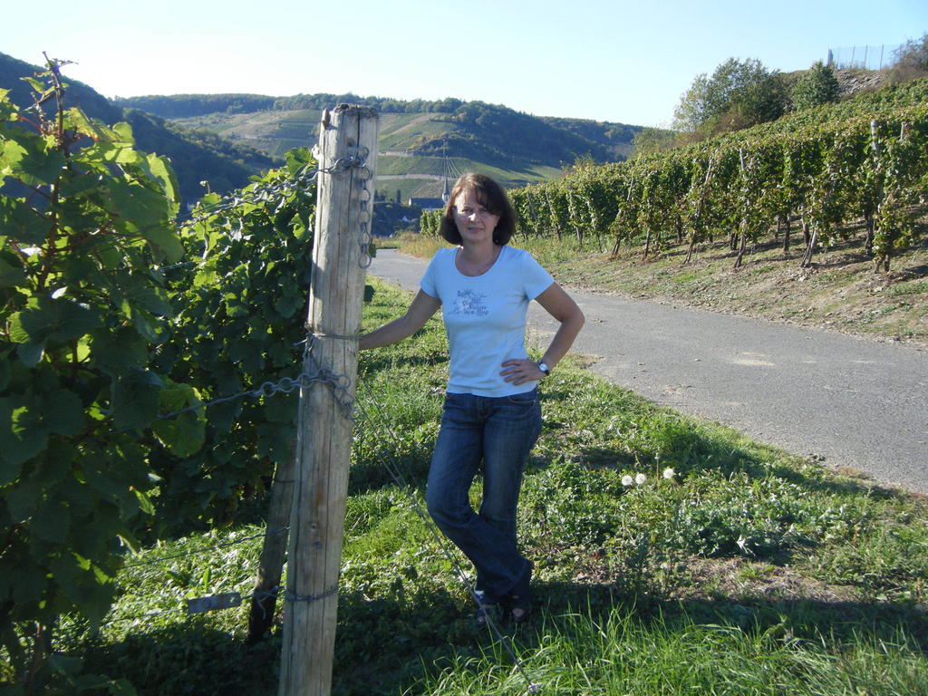 فندق Ferienweingut Hensler بريديل الغرفة الصورة