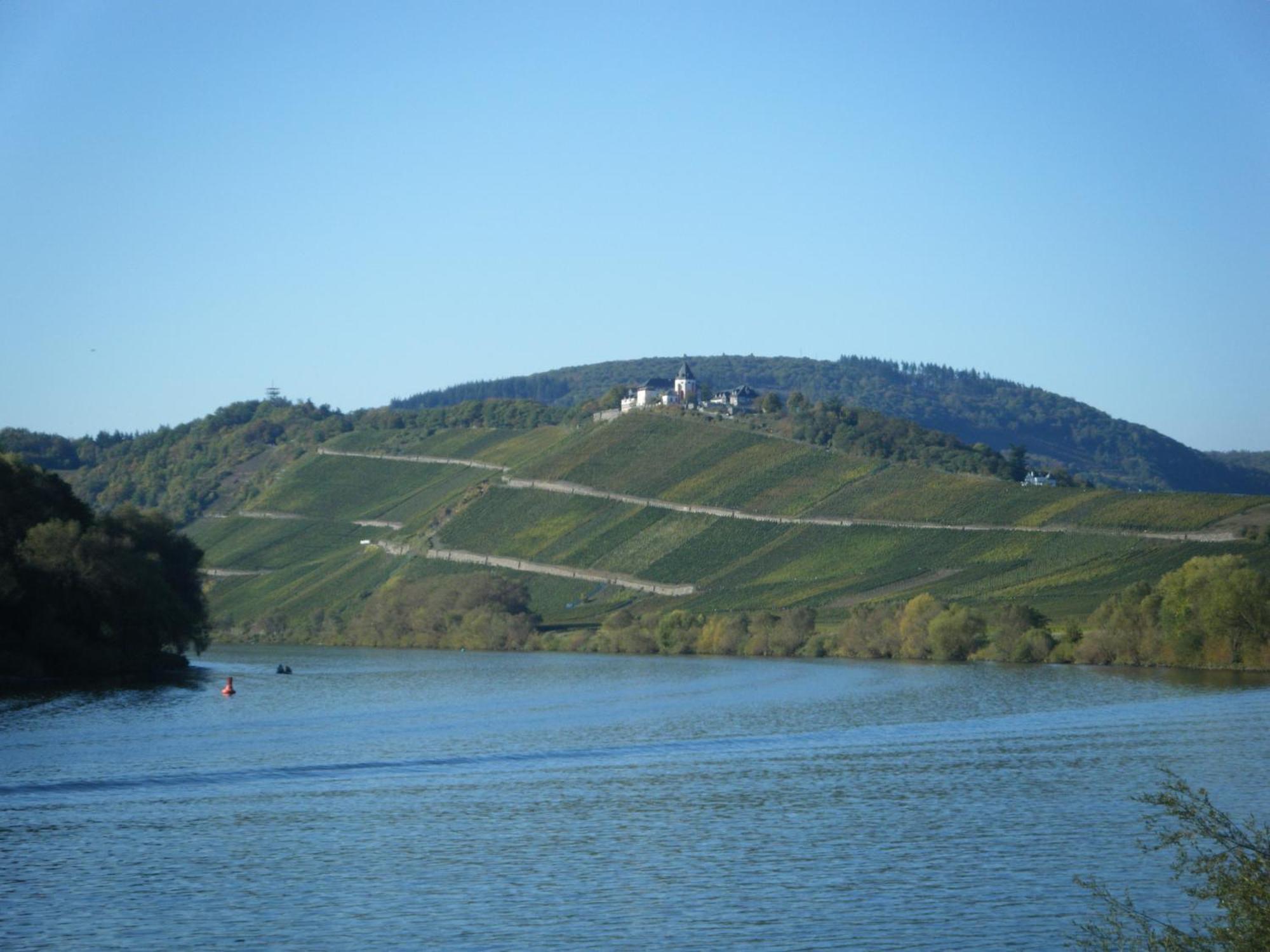 فندق Ferienweingut Hensler بريديل المظهر الخارجي الصورة