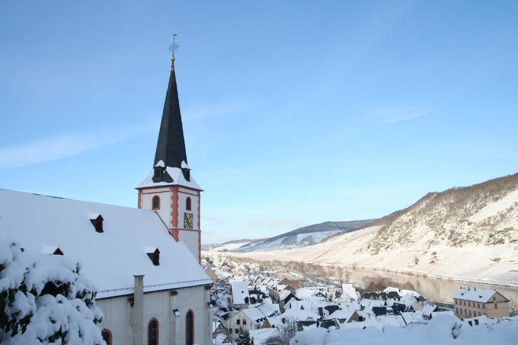 فندق Ferienweingut Hensler بريديل المظهر الخارجي الصورة