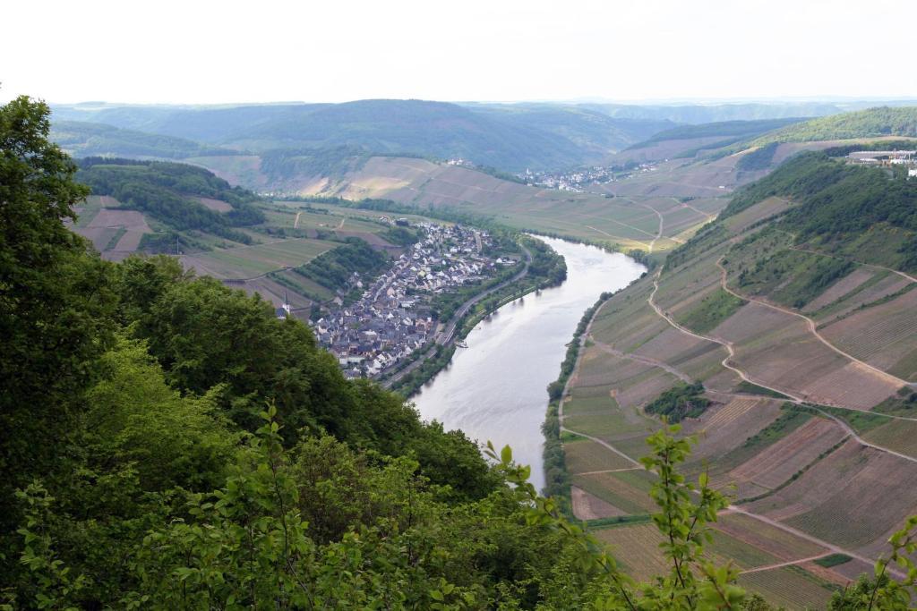 فندق Ferienweingut Hensler بريديل المظهر الخارجي الصورة
